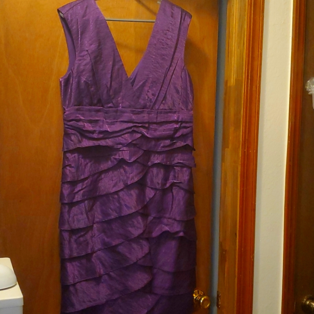Rafeyette Size 14 Dress